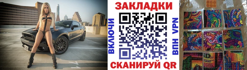 Что такое Емва APVP omg рабочий сайт ГАШ