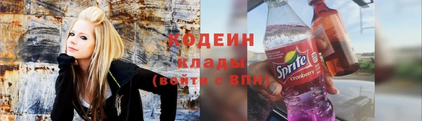 мдпв Верхний Тагил