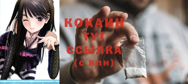 мдпв Верхний Тагил