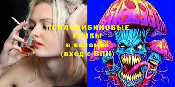 МДПВ Верея