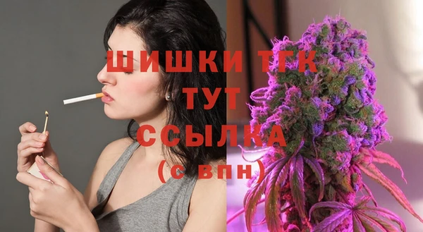 МДПВ Верея